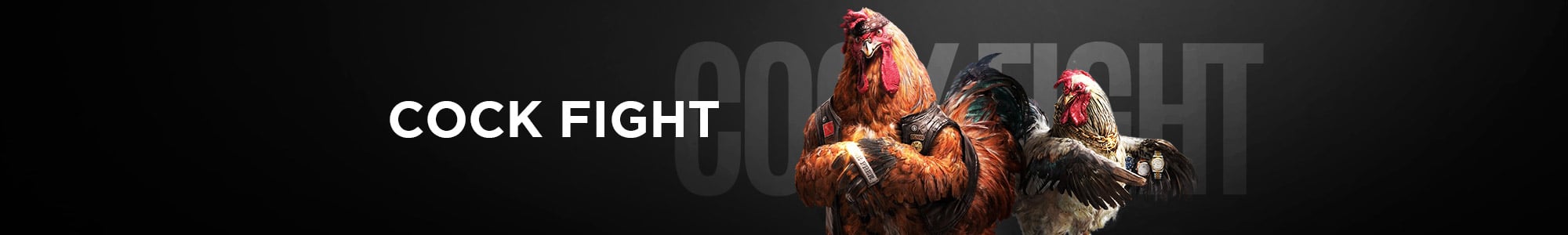 แบนเนอร์หมวดไก่ชนออนไลน์ของ Kapook888